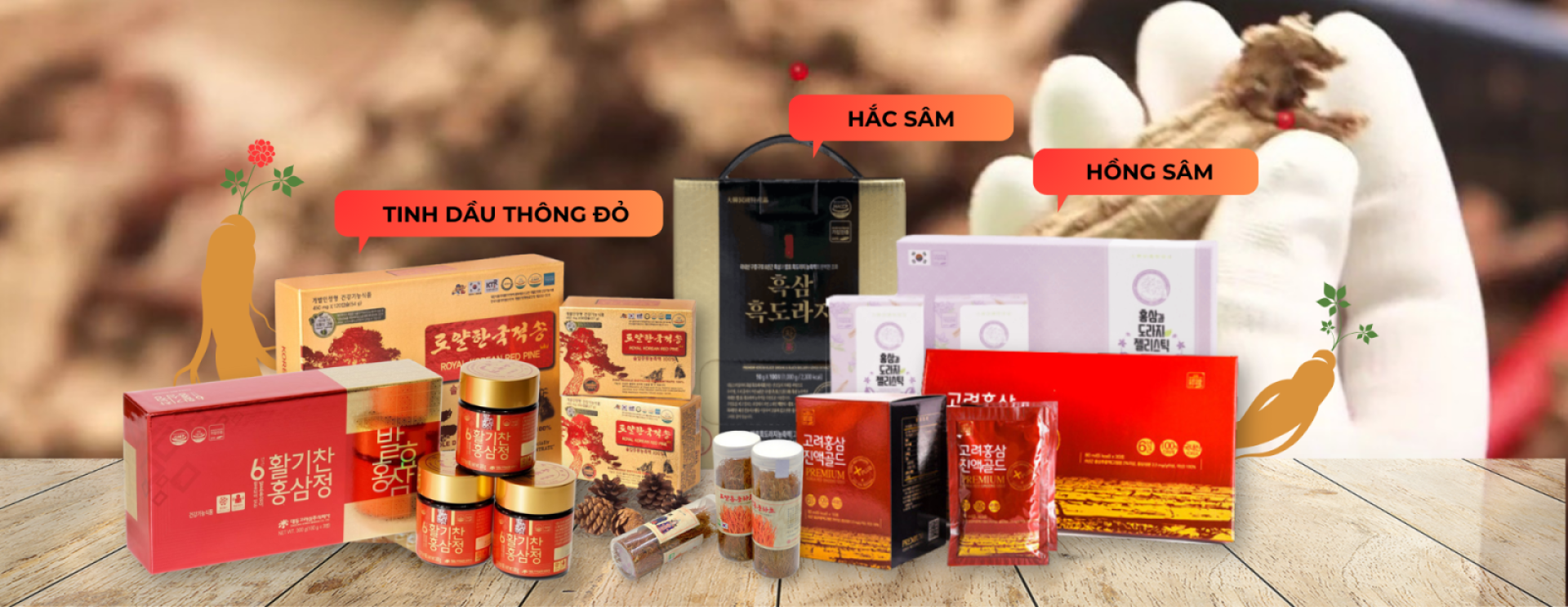 ALYS Hồng Sâm Hàn Quốc