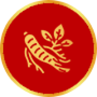NHÂN SÂM HÀN QUỐC 