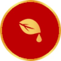 TINH DẦU THÔNG ĐỎ 