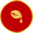 TINH DẦU THÔNG ĐỎ 