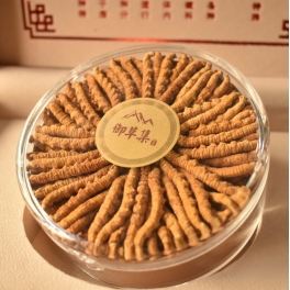 Đông Trùng Hạ Thảo 20 con hộp 10g Tây Tạng – Hàng phổ thông