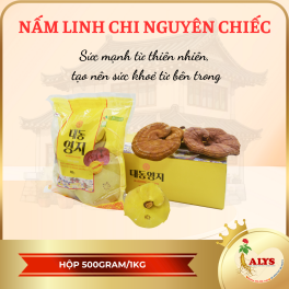 Nấm Linh Chi 1000g – Daedong