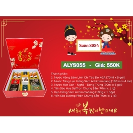 Giỏ Quà ALYS 055