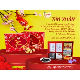 Hộp Quà Tết Tân Xuân 