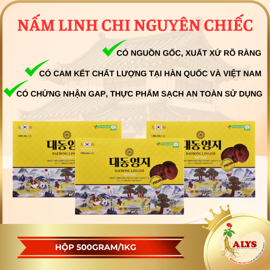 Nấm Linh Chi 1000g – Daedong